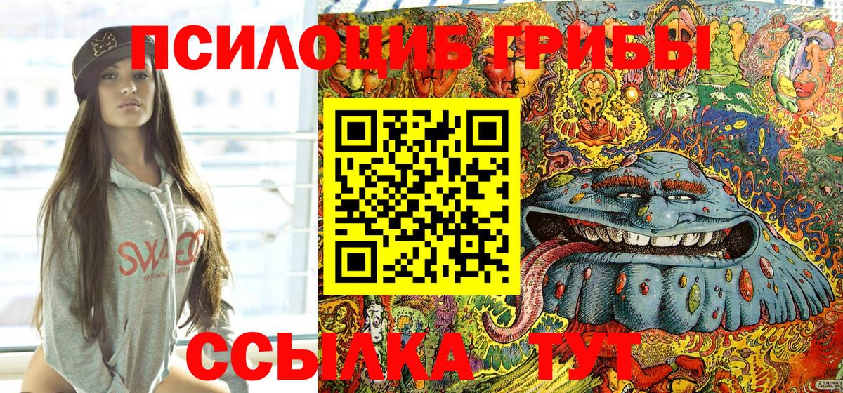 Галлюциногенные грибы Psilocybine cubensis  Вход с VPN  Псилоцибиновые грибы мицелий  Тутаев 